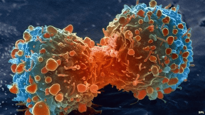 OncoAnalyzer